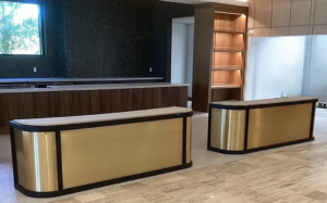 Project Star: Powder Coated Desk with Brass